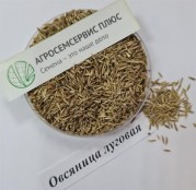 ovsyalug1