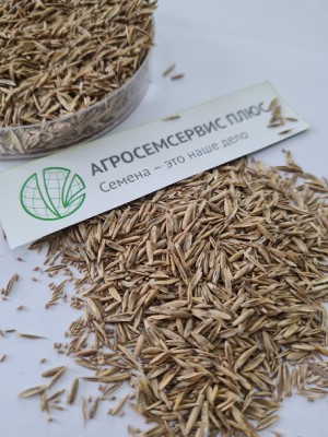 Смесь семян укосно пастбищная