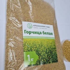 Горчица белая семена